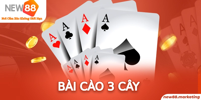 23 win gà choi c1