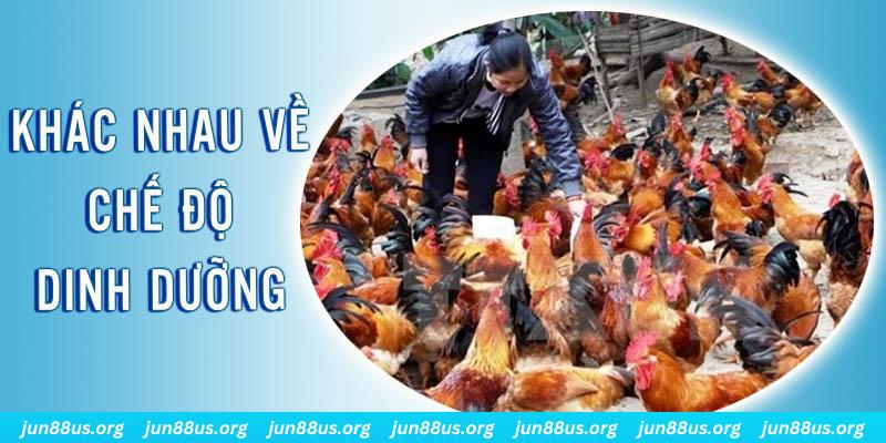 23 win xổ số miền nam thứ năm hàng tuần