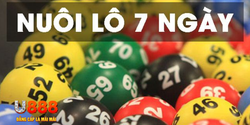 23 win what is a virtual casino