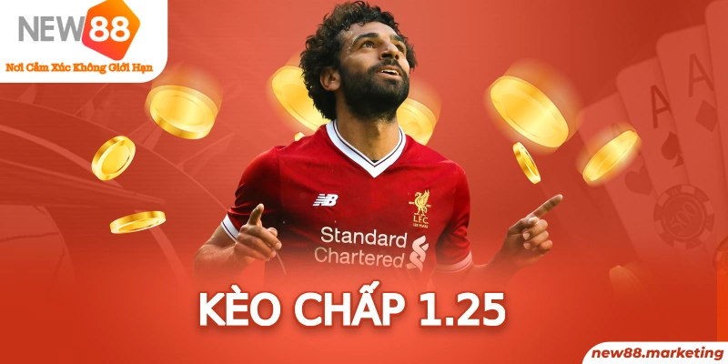 23 win arne slot là ai