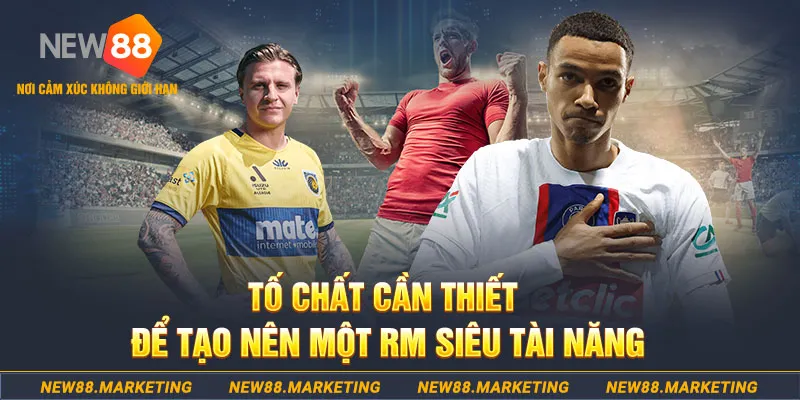 23 win đá gà thomo