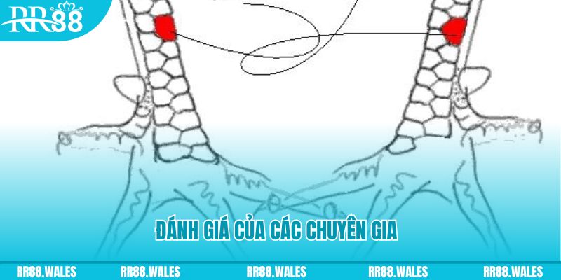 23 win V8 Game Bài 3d