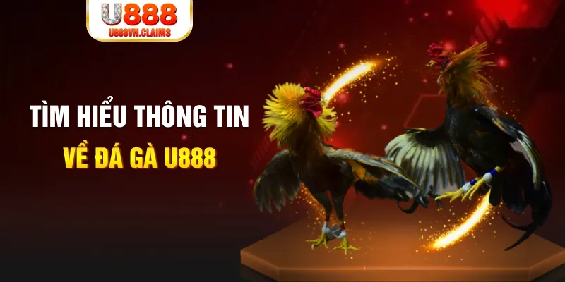 23 win đăng nhập tiến lên miền nam hàng đầu