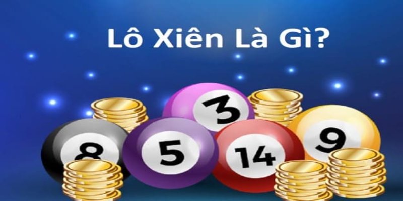 23 win gà chọi hòa phong