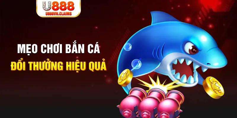 23 win baccarat có hợp pháp không