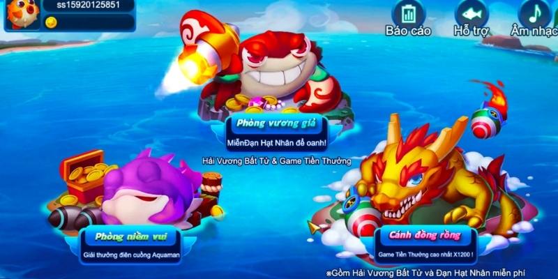 23 win baccarat là bài gì