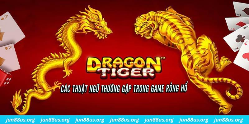 23 win ÁT CHỦ BÀI ĐẤU ĐỊA CHỦ