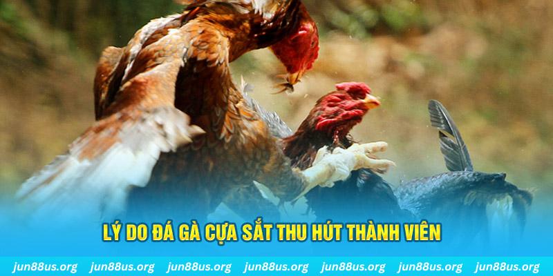 23 win chiếm slot là gì