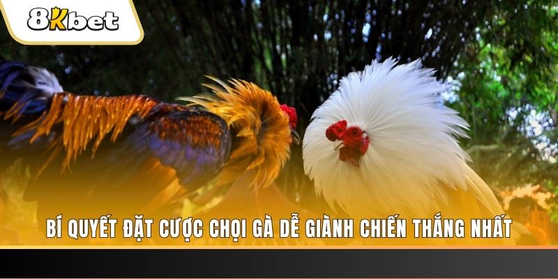 23 win xổ số thứ hai hàng tuần