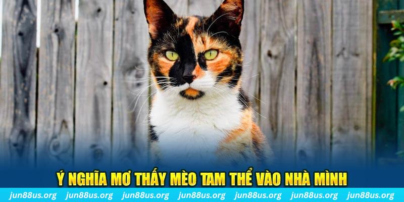 23 win RTG Bắn cá