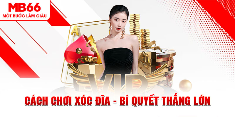 23 win trực tiếp đá gà c1 hôm nay