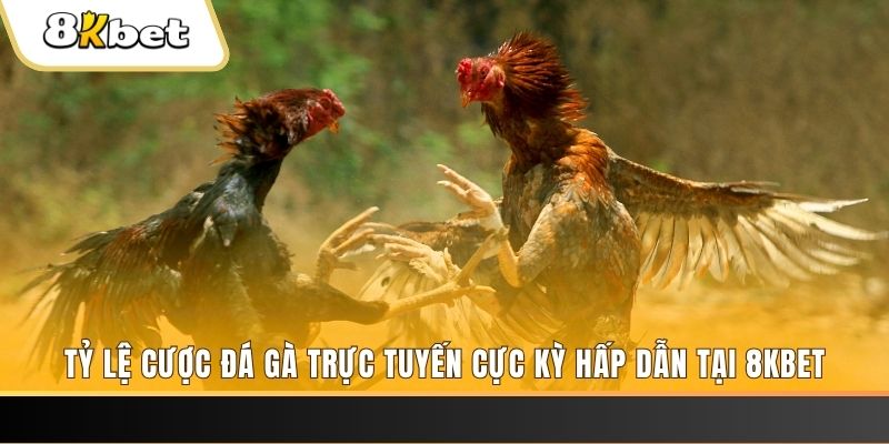 23 win baccarat online bịp như thế nào