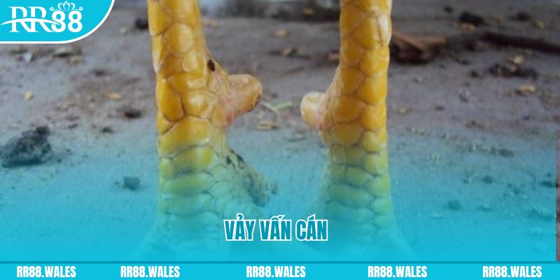 23 win đăng nhập nổ hũ hôm nay