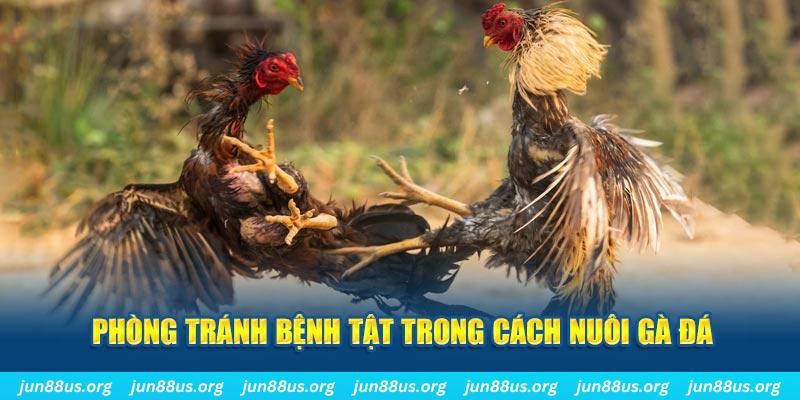 23 win đăng nhập phỏm online
