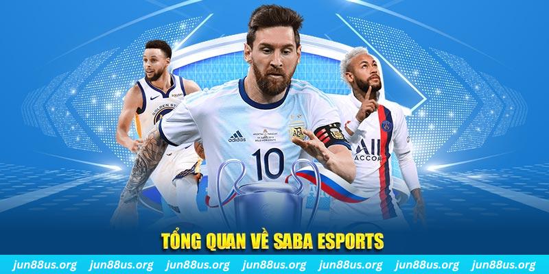 23 win kết quả xổ số miền nam